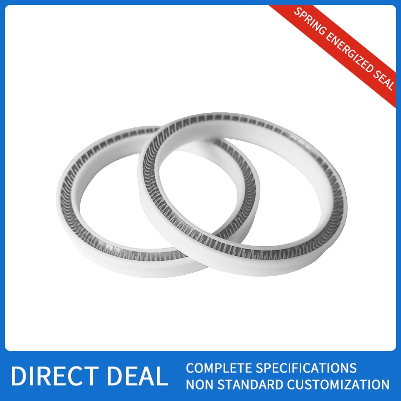 Precision Structure Spring Energizing Seal PTFE Sealing Spring Sealing Ring